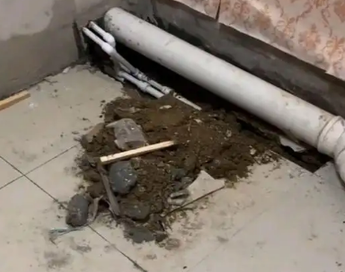 凌云卫生间漏水检测哪家好